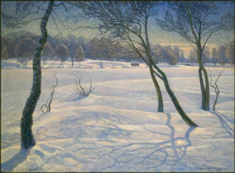 Sunny Winter Day in Sweden